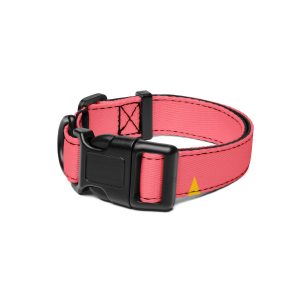 Pet collar