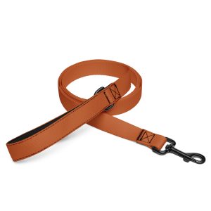Pet leash