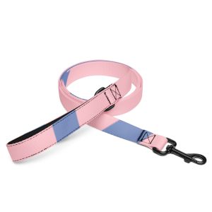 Pet leash