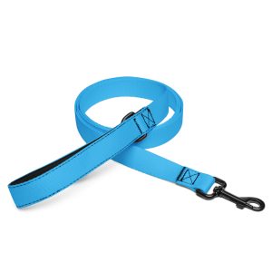 Pet leash