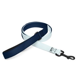 Pet leash